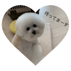Junko_20220512205804
