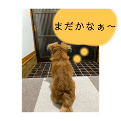 Risa_20220512233628