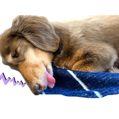 Mizuki_20220512220321