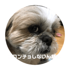 SUZU_20220512230808