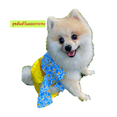 Smile_20220512144935