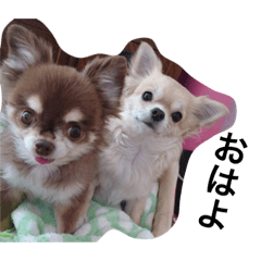 RAM&MERU stamps