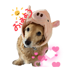 Emily_20220512192233