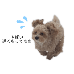 yuka_20220513001932