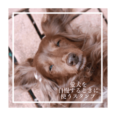 alice_20220513095037