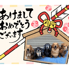 Rina_20220513090014