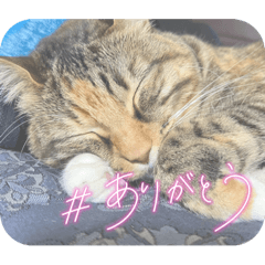 yuka_20220513111421
