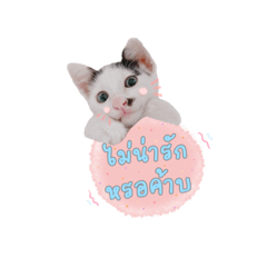 Hutjoey_20220512214653