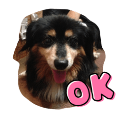 natsumi_20220512224339