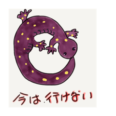 salamanders