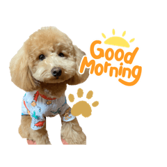 momoko_20220513133739