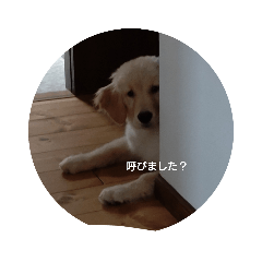 kuu_20220513142553