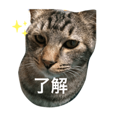 saori_20220513014021