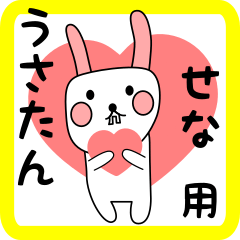 せな用 シロウサけいたん
