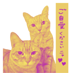 All you need is cats!_Japanese