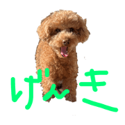 mioooo_20220513161931