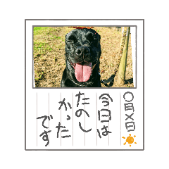 YUKA_20220513165523