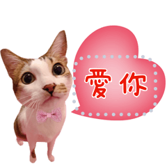 柔兒八個毛寶貝②