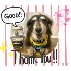 yukari_20220514002750