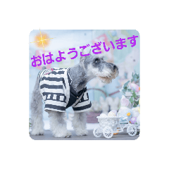 kai1016_20220513194019