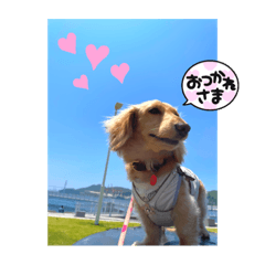 Hana_20220514113025