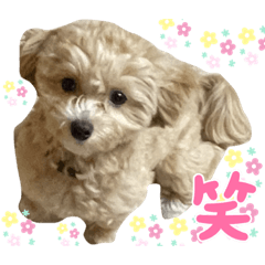 Rina_20220513214138