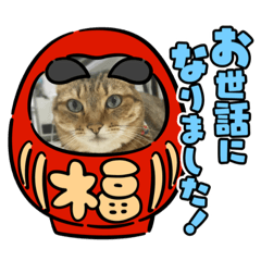 KanaiShun_20220513220114