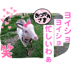 sayuri_20220513191758