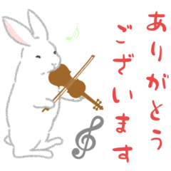 A word violin white rabbit Ver.