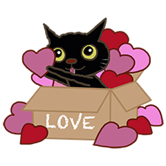 Happy little black cat - Love story