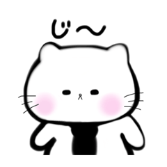 Shiratama-kun, a white cat