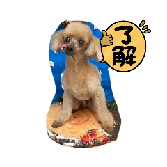 kaori_20220514132749