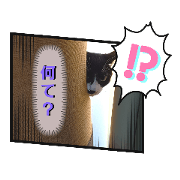 Hatchiware Cat_20220513191501