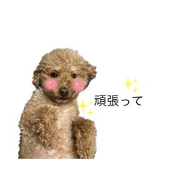 hikari_20220514140114