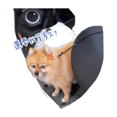 笨Q日記