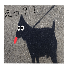 YK_20220513222217