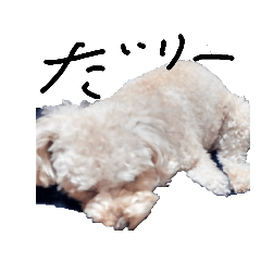 arisa_20220514171649