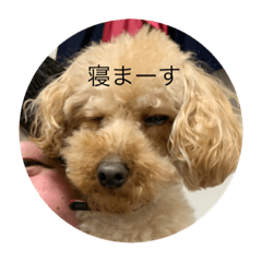 Natsumi_20220514172346