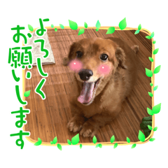 Suzu_20220514173703