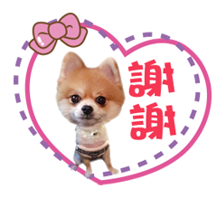 熊子兵家族