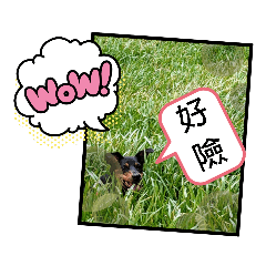 右腦犬2.0