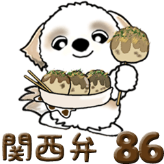 【Big】シーズー犬 86『関西弁』