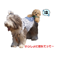 Mush_20220514212123
