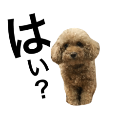 M dogs 2