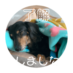 ayumi_20220515000322