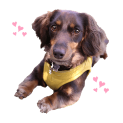 KAITO_20220514225046