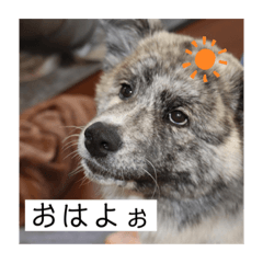 ai_20220515081151