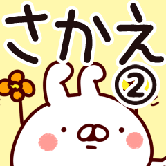 The Sakae2.