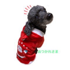 miki_20220515122722