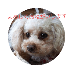 HANA_20220515060035